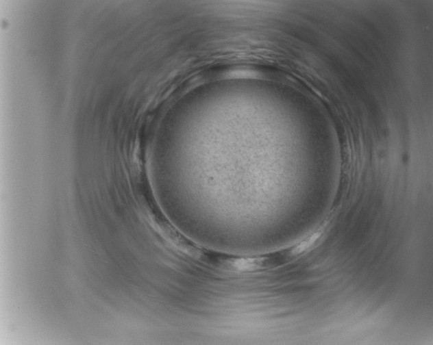 X0000058140184200509261321