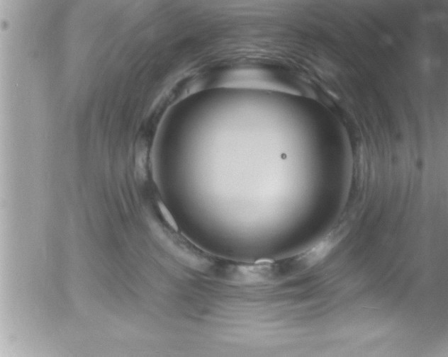 X0000058140188200509261321