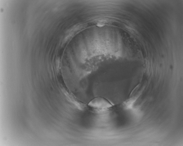 X0000058140189200509261321