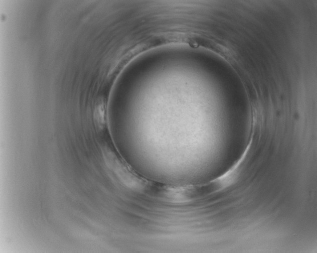 X0000058140190200509261321