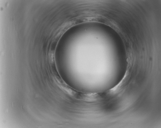 X0000058140191200509261321