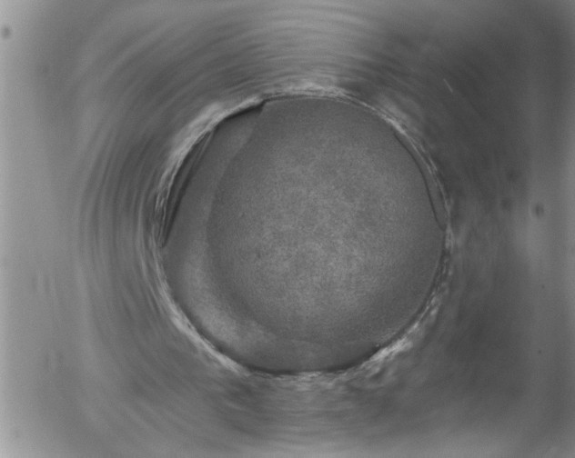 X0000058140193200509261321