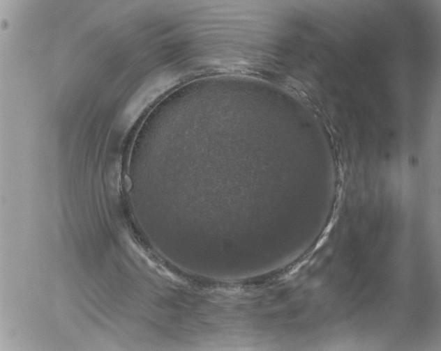 X0000058140194200509261321