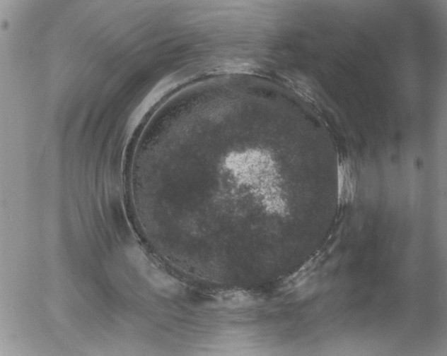 X0000058140195200509261321