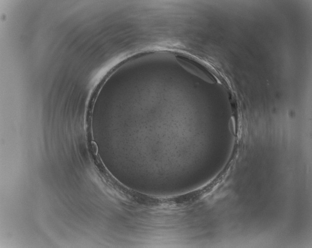 X0000058140196200509261320