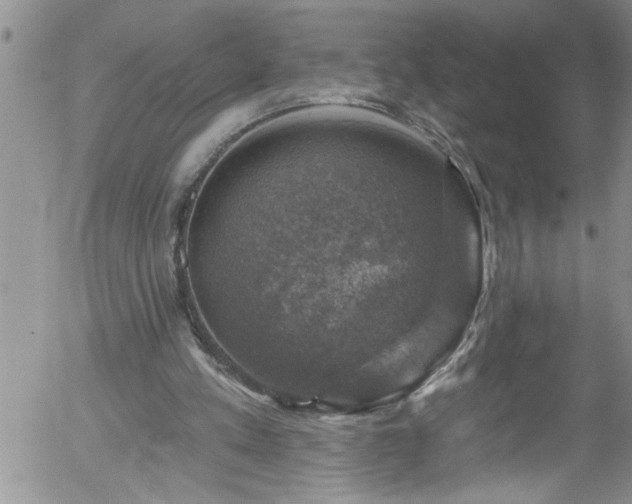 X0000058140197200509261320