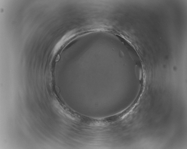 X0000058140198200509261320