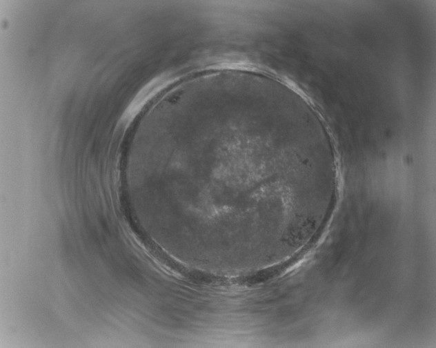 X0000058140199200509261320