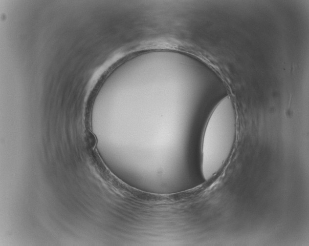 X0000058140200200509261320