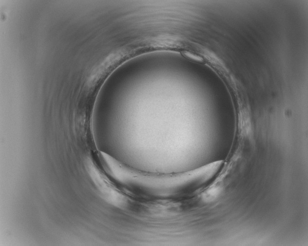 X0000058140201200509261320