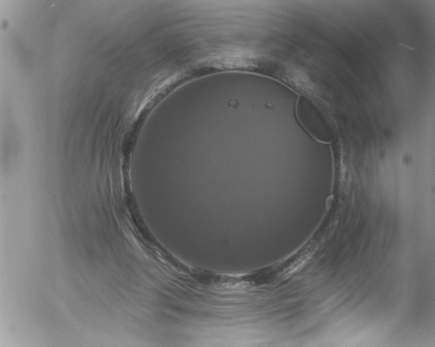 X0000058140202200509261320