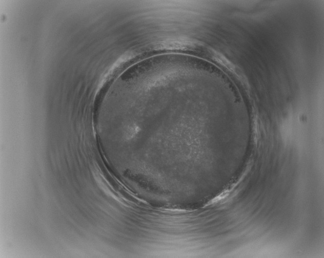 X0000058140203200509261320