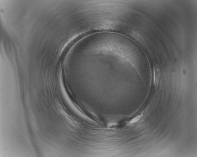 X0000058140204200509261320