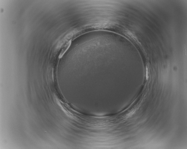 X0000058140205200509261320