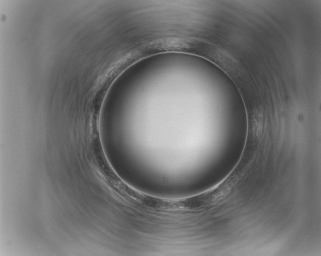 X0000058140206200509261320