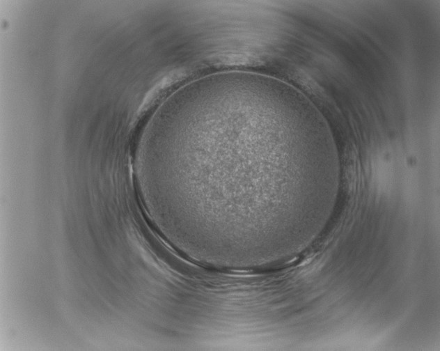 X0000058140207200509261320