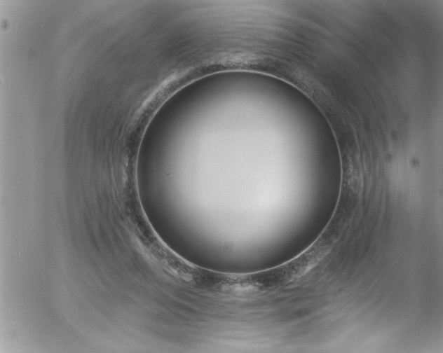 X0000058140208200509261320