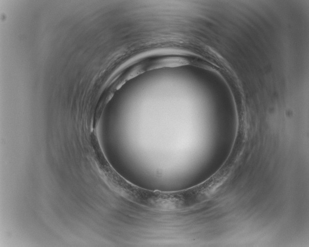 X0000058140209200509261320