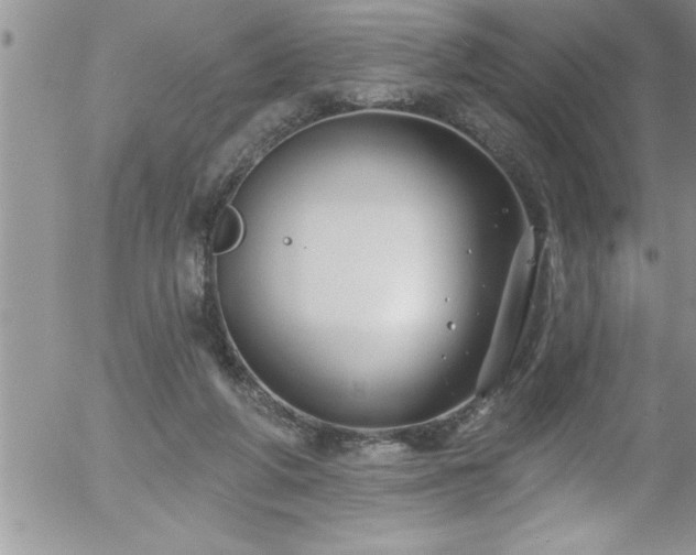 X0000058140210200509261320