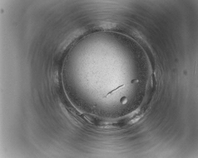 X0000058140212200509261320