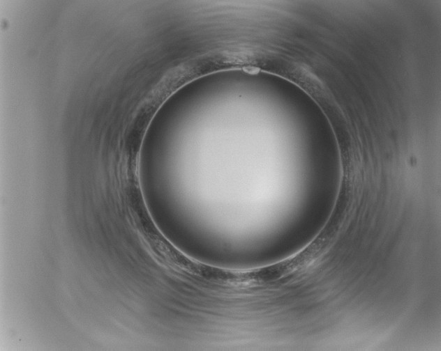 X0000058140213200509261320