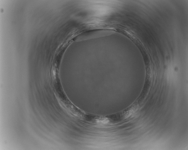 X0000058140214200509261320