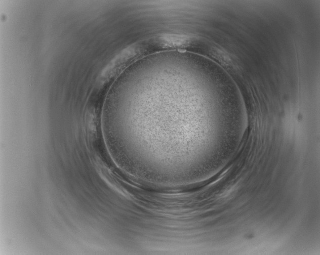 X0000058140215200509261320