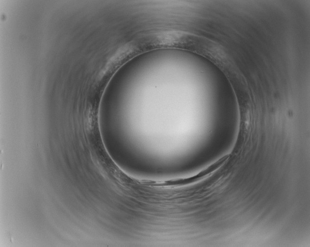 X0000058140216200509261320