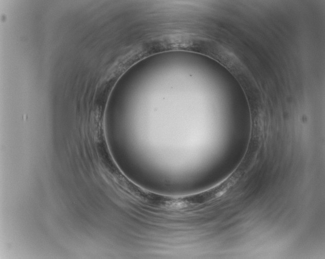 X0000058140218200509261320