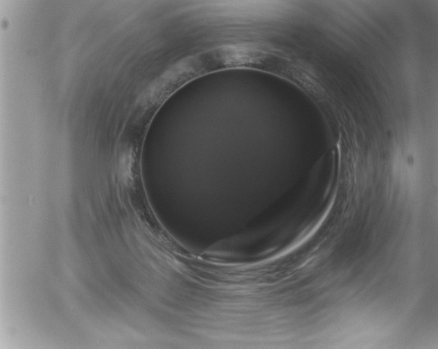 X0000058140219200509261320