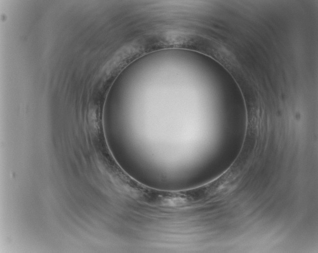 X0000058140220200509261320