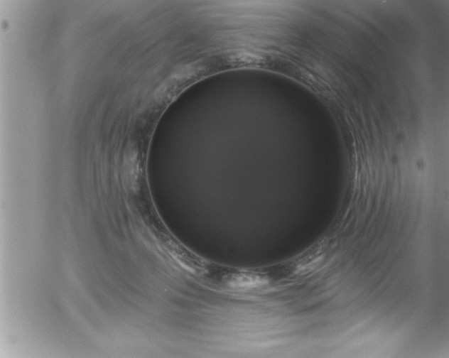 X0000058140223200509261320