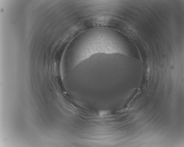 X0000058140224200509261320