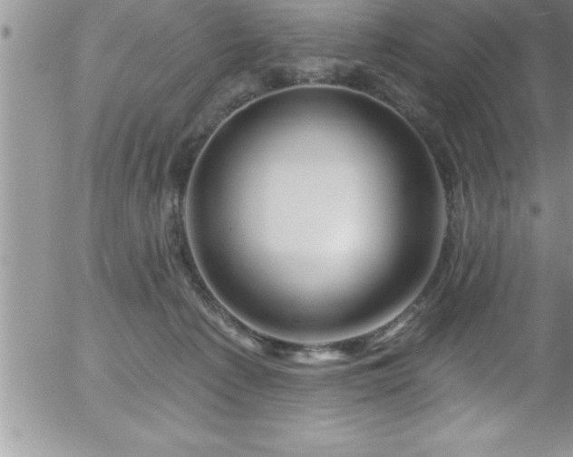 X0000058140225200509261320