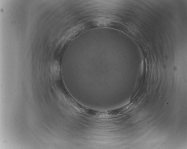 X0000058140228200509261320