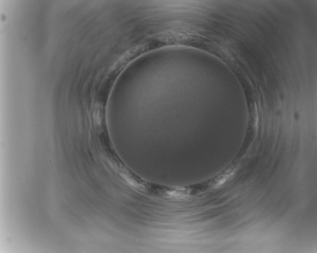 X0000058140232200509261320