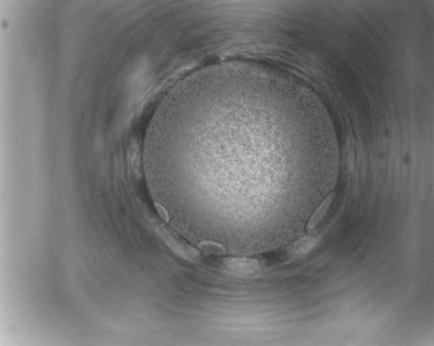 X0000058140234200509261320