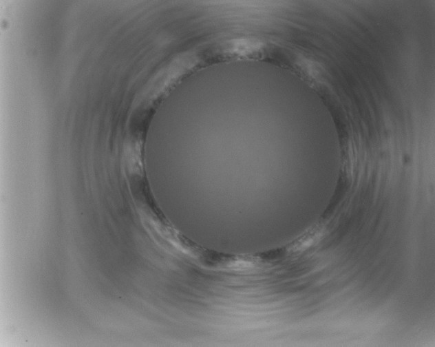 X0000058140236200509261320