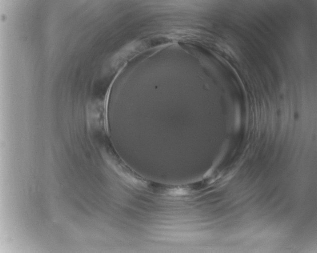 X0000058140237200509261320