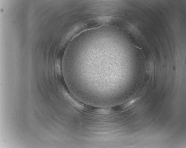 X0000058140238200509261320