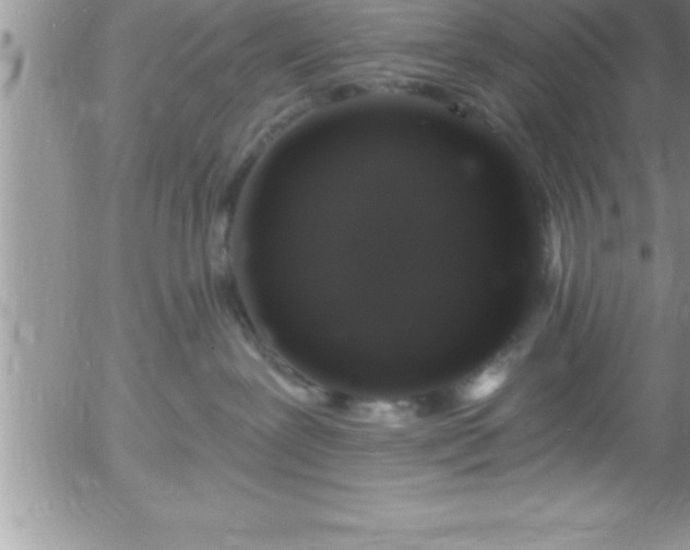 X0000058140239200509261320