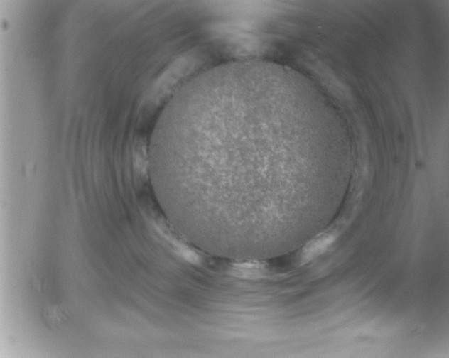 X0000058140240200509261320