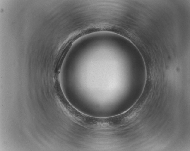 X0000058140256200509261319