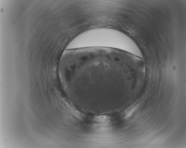 X0000058140269200509261319