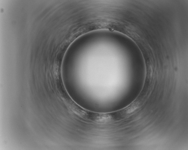 X0000058140274200509261319