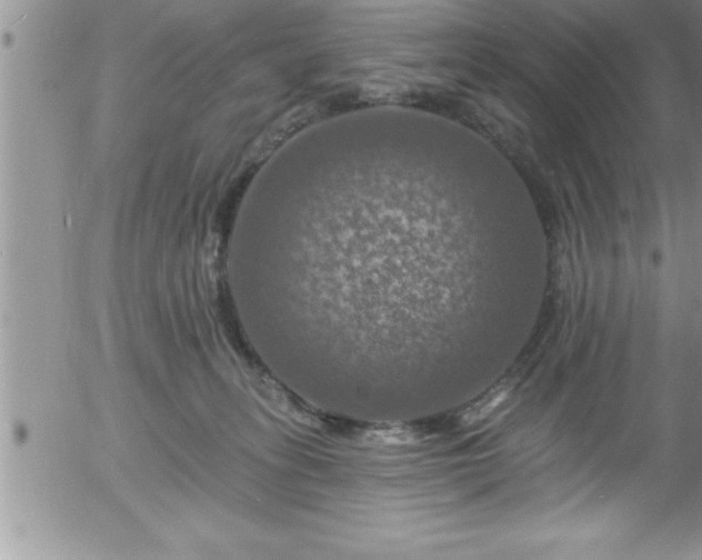 X0000058140275200509261320