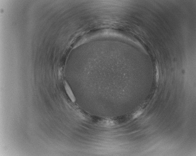 X0000058140276200509261320