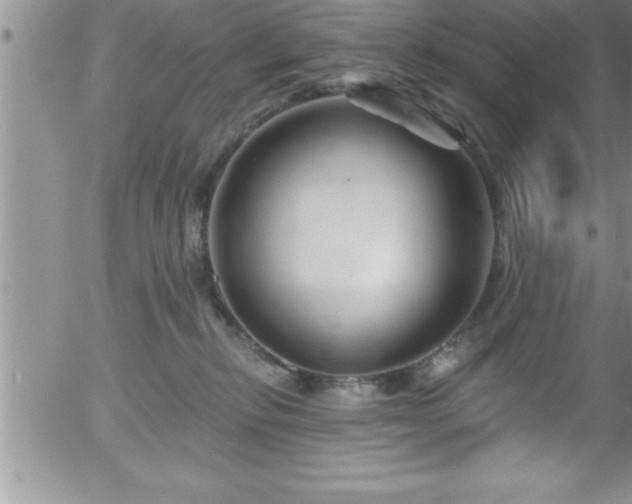 X0000058140278200509261320