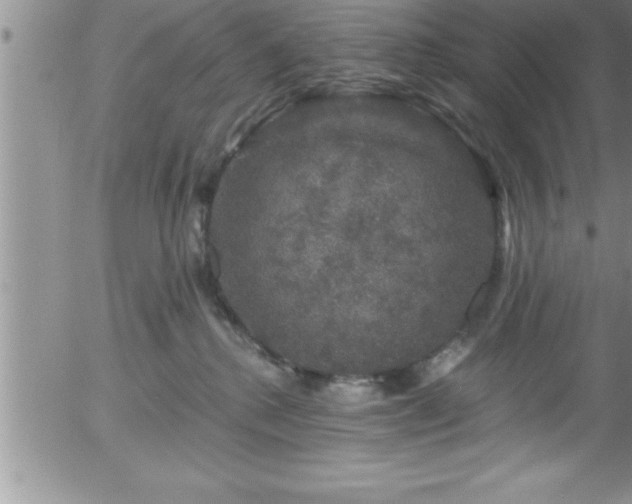 X0000058140280200509261320