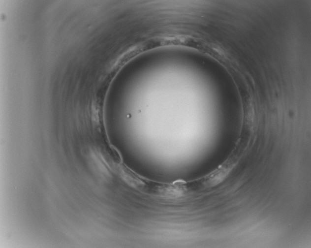 X0000058140282200509261320